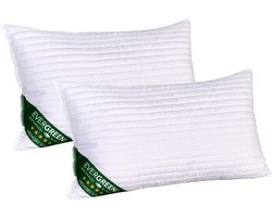 Traagschuim Kussens Set van 2 (40x70 cm) - Orthopedisch & Nekondersteuning - Wasbaar