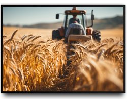 Traktor met Graan veld fotolijst met glas 50 x 70 cm - Prachtige kwaliteit - Woonkamer - Slaapkamer - Boer - Trekker - Boerderij - Harde lijst - Glazen plaat - inclusief ophangsysteem - Grappige Poster - Foto op hoge kwaliteit uitgeprint