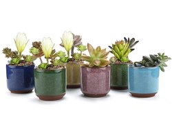 TRANKIELO® - 6-Delige Set Keramische Plantenpotten, Handgemaakt en Gekleurd, Duurzaam voor Vetplanten, Aloë, Kruiden en Kamerplanten – Decoratief Cadeau-idee