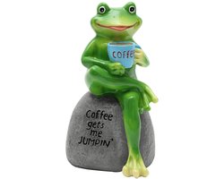 TRANKIELO® - Prachtig Gedetailleerd Tuinornament – Hars Kikker Sculptuur – Uniek Buitendecor en Binnenhuisdecoratie – Perfect Cadeau voor Dierliefhebbers en Tuiniers