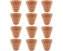 TRANKIELO® – Set van 12 Terracotta Bloempotten met Drainage Gat – Duurzaam en Stevig Aardewerk voor Succulenten en Cactussen – Ideaal voor DIY Ambachtelijke Projecten, Plantencrafts en Bruiloft Gunsten (Afmetingen: 6,5 x 6cm)