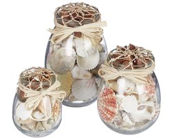 TRANKIELO® - Set van 3 schelpen decoratie - Unieke potten met echte schelpen - Badkameraccessoire en natuurdecoratie