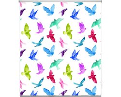 Transparant Rolgordijn Easyfix met Kettingbediening voor Binnen, 70 x 150 cm