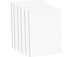 Transparante acrylplaten A3-formaat - 42 x 29 cm - 1 mm dik - Perfect voor decoratie, displays en fotolijsten - 6 stuks