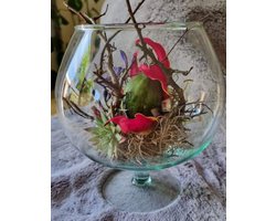 Transparante luxe stijlvolle cognac glas 2 liter vaas/vazen van glas 18,5 cm - Bloemen/terrarium vaas voor binnen gebruik