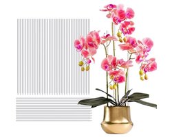 Transparante Plantsteunen - 30 Stuks 40 cm Plant Stokken voor Binnen- en Tuinplanten