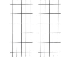 trellis - set van 2 - 150 x 60 cm - metaal - klimplanten - zwart