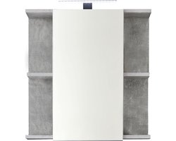 trendteam badkamer spiegelkast spiegel Nano, 60 x 62 x 20 cm in beton stone melamine incl. verlichting
