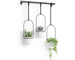 Triflora Hanging Flower Pots - White, by Umbra