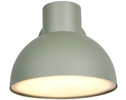 TRIO ELBE - Wandlamp - Groen - excl. 1x E27 4,9 W - Wandmontage - Buitenverlichting - IP44