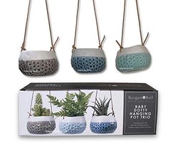 Trio Hangpot in Geschenkdoos voor Binnenplanten
