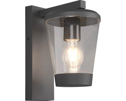 Trio Leuchten Cavado Wandlamp IP44 Antraciet