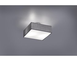 Trio Leuchten Embassy - Plafondlamp - 2 lichts - L 300 mm - grijs