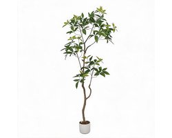 Triumpunpre - Kunst Schefflera Parapluboom 160cm - Kunstplant - Tuin
