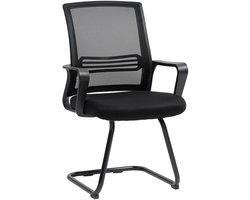 TRUUSK Ergonomische Stoel - Netstof - Schuimstof - Metalen Poten - Slee Basis - Zwart