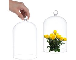 TTGoods - Glazen bel met bal handvat voor planten en tafeldecoratie met lichtslingers, medaille en foto's - Antiek verzamelobject voor vitrine, decoratieve bel met transparante glazen koepel