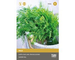 Tuin de Bruijn Dille Compatto Zaden - Anethum graveolens - Compact voor Potten - 0,7 g - ca. 630 Zaden