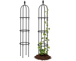 Tuin Klimhulp - Klimrek Obelisk - Planten Ondersteunen - Roestbestendig Staal - 2-delig 174 cm - Zwart