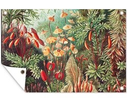 Tuin - Tuinposter - Bloemen - Kunst - Vintage - Planten - Ernst Haeckel - 120x80 cm - Muurdecoratie - Tuinschilderij