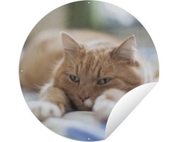Tuincirkel Kat - Bed - Bedsprei - Meisjes - Kinderen - Jongens - Kind - 150x150 cm - Ronde Tuinposter - Buiten