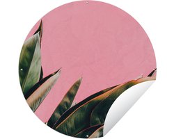 Tuincirkel Planten - Bladeren - Vrouwentong - Roze - Tropisch - 90x90 cm - Ronde Tuinposter - Buiten