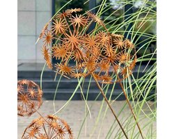 Tuindecoratie, set van 2, roestkleurige decoratie voor de tuin, cortenstaal, tuinpaal, metalen klaproos, roest, tuindecoratie, roest, plantenbak, plantenplug, natuurlijke roest, tuinplug