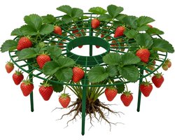 Tuingereedschap Steun - Plantenrek Klimrek - Planten Ondersteunen - Modulair Stapelbaar - 30 cm Breed - Zwart