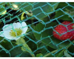 Tuinnet Groen - 5 x 3 m - Maaswijdte 10 x 10 mm