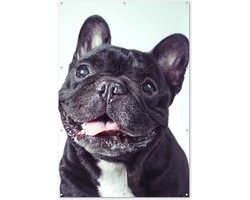 Tuinposter 120x180 cm - Tuindecoratie Franse Bulldog - Zwart - Stoel - Poster voor in de tuin - Buiten decoratie - Schutting tuinschilderij - Tuindoek muurdecoratie - Wanddecoratie balkondoek