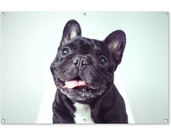Tuinposter 120x80 cm - Tuindecoratie Franse Bulldog - Zwart - Stoel - Poster voor in de tuin - Buiten decoratie - Schutting tuinschilderij - Tuindoek muurdecoratie - Wanddecoratie balkondoek