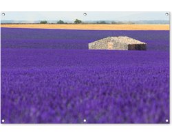 Tuinposter 120x80 cm - Tuindecoratie Groot lavendelveld met een klein huisje in het midden - Poster voor in de tuin - Buiten decoratie - Schutting tuinschilderij - Tuindoek muurdecoratie - Wanddecoratie balkondoek