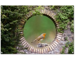 Tuinposter 120x80 cm - Tuindecoratie Vogel - Doorkijk - Roodborstje - Poster voor in de tuin - Buiten decoratie - Schutting tuinschilderij - Tuindoek muurdecoratie - Wanddecoratie balkondoek