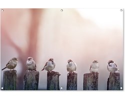 Tuinposter 120x80 cm - Tuindecoratie Vogels - Mussen - Paaltjes - Hout - Poster voor in de tuin - Buiten decoratie - Schutting tuinschilderij - Tuindoek muurdecoratie - Wanddecoratie balkondoek