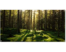 Tuinposter 160x80 cm - Tuindecoratie Bomen - Bos - Mos - Planten - Zon - Natuur - Poster voor in de tuin - Buiten decoratie - Schutting tuinschilderij - Tuindoek muurdecoratie - Wanddecoratie balkondoek