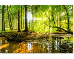 Tuinposter 180x120 cm - Tuindecoratie Bos - Landschap - Water - Bomen - Zon - Groen - Natuur - Poster voor in de tuin - Buiten decoratie - Schutting tuinschilderij - Tuindoek muurdecoratie - Wanddecoratie balkondoek