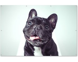 Tuinposter 180x120 cm - Tuindecoratie Franse Bulldog - Zwart - Stoel - Poster voor in de tuin - Buiten decoratie - Schutting tuinschilderij - Tuindoek muurdecoratie - Wanddecoratie balkondoek