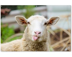 Tuinposter 180x120 cm - Tuindecoratie Schaap - Dieren - Wol - Poster voor in de tuin - Buiten decoratie - Schutting tuinschilderij - Tuindoek muurdecoratie - Wanddecoratie balkondoek