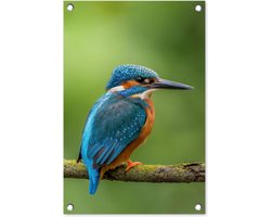 Tuinposter 40x60 cm - Tuindecoratie IJsvogel - Tak - Mos - Vogel - Groen - Poster voor in de tuin - Buiten decoratie - Schutting tuinschilderij - Tuindoek muurdecoratie - Wanddecoratie balkondoek