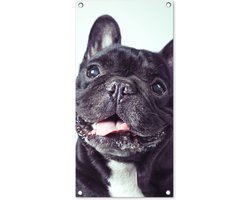 Tuinposter 40x80 cm - Tuindecoratie Franse Bulldog - Zwart - Stoel - Poster voor in de tuin - Buiten decoratie - Schutting tuinschilderij - Tuindoek muurdecoratie - Wanddecoratie balkondoek
