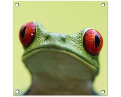 Tuinposter 50x50 cm - Tuindecoratie Kikker - Reptiel - Rood - Poster voor in de tuin - Buiten decoratie - Schutting tuinschilderij - Tuindoek muurdecoratie - Wanddecoratie balkondoek