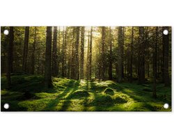 Tuinposter 60x30 cm - Tuindecoratie Bomen - Bos - Mos - Planten - Zon - Natuur - Poster voor in de tuin - Buiten decoratie - Schutting tuinschilderij - Tuindoek muurdecoratie - Wanddecoratie balkondoek