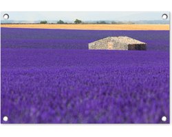 Tuinposter 60x40 cm - Tuindecoratie Groot lavendelveld met een klein huisje in het midden - Poster voor in de tuin - Buiten decoratie - Schutting tuinschilderij - Tuindoek muurdecoratie - Wanddecoratie balkondoek