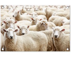 Tuinposter 60x40 cm - Tuindecoratie Schapen - Wol - Wit - Poster voor in de tuin - Buiten decoratie - Schutting tuinschilderij - Tuindoek muurdecoratie - Wanddecoratie balkondoek
