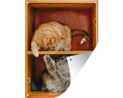 Tuinposter 60x80 cm - Tuindecoratie Speelse kittens in de kast - Poster voor in de tuin - Buiten decoratie - Schutting tuinschilderij - Tuindoek muurdecoratie - Wanddecoratie balkondoek