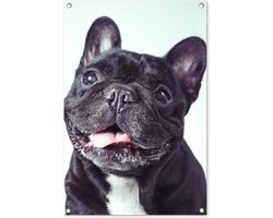 Tuinposter 60x90 cm - Tuindecoratie Franse Bulldog - Zwart - Stoel - Poster voor in de tuin - Buiten decoratie - Schutting tuinschilderij - Tuindoek muurdecoratie - Wanddecoratie balkondoek
