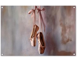 Tuinposter 90x60 cm - Tuindecoratie Balletschoenen - Satijn - Aardetinten - Poster voor in de tuin - Buiten decoratie - Schutting tuinschilderij - Tuindoek muurdecoratie - Wanddecoratie balkondoek