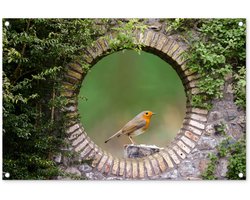 Tuinposter 90x60 cm - Tuindecoratie Vogel - Doorkijk - Roodborstje - Poster voor in de tuin - Buiten decoratie - Schutting tuinschilderij - Tuindoek muurdecoratie - Wanddecoratie balkondoek