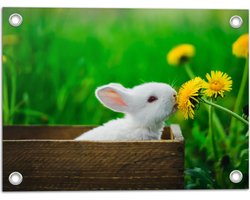 Tuinposter – Baby Konijntje in Houten Kistje tussen Gele Paardebloemen - 40x30 cm Foto op Tuinposter (wanddecoratie voor buiten en binnen)
