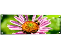 Tuinposter – Bij op Midden van Roze Smalle Bloem - 90x30 cm Foto op Tuinposter (wanddecoratie voor buiten en binnen)