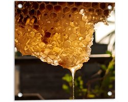 Tuinposter – Bijenkorf met veel Honing - 50x50cm Foto op Tuinposter  (wanddecoratie voor buiten en binnen)